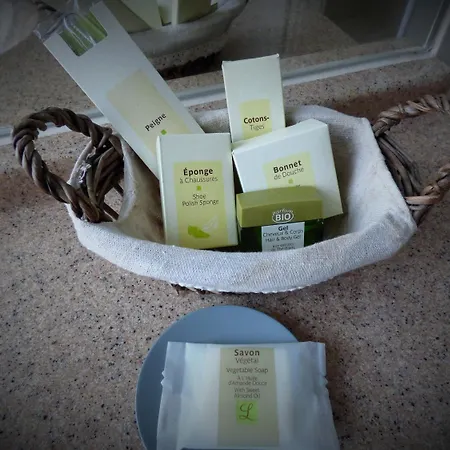 Logis Au Grand Et Son Restaurant מאיין