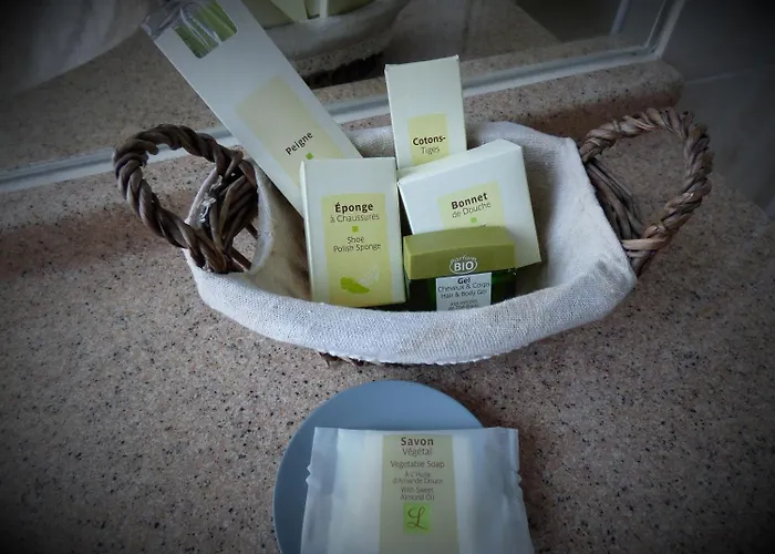 Le Grand De - Logis Restaurant 마옌